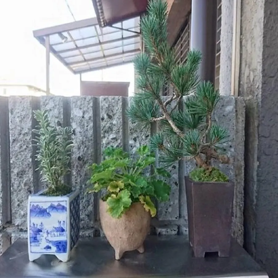 Guesthouse Tai Kioto 2*,  Japón